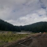 Terracería de acceso a zona de Lago donde se aprecia un paisaje lleno de árboles y pasto a un costado del camino de terracería