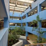 Se aprecia el interior de un edificio biblioteca de dos pisos. El color del interior es azul claro. El edificio tiene un techo Semi transparente que permite la entrada de luz natural. En la planta baja, se encuentran macetas y jardineras.