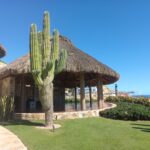 Palapa grande con techo de paja sobre una estructura de piedra y madera, con un cactus alto y plantas verdes en primer plano. de fondo el mar.